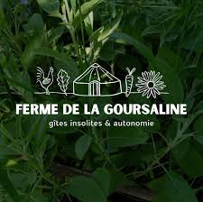 la goursaline